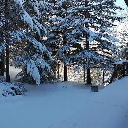 L'argousier 6 A 8 Personnes Barcelonnette Chalet *