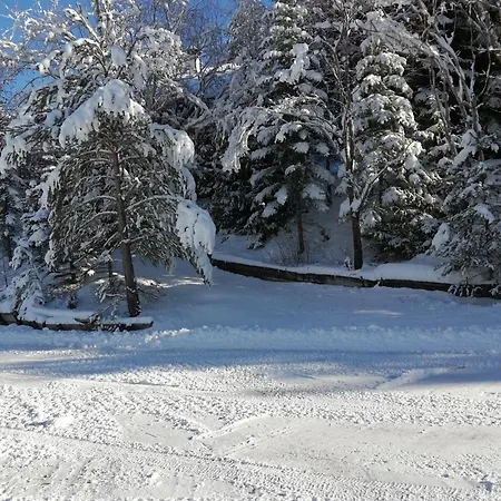 L'argousier 6 A 8 Personnes Barcelonnette Enchastrayes