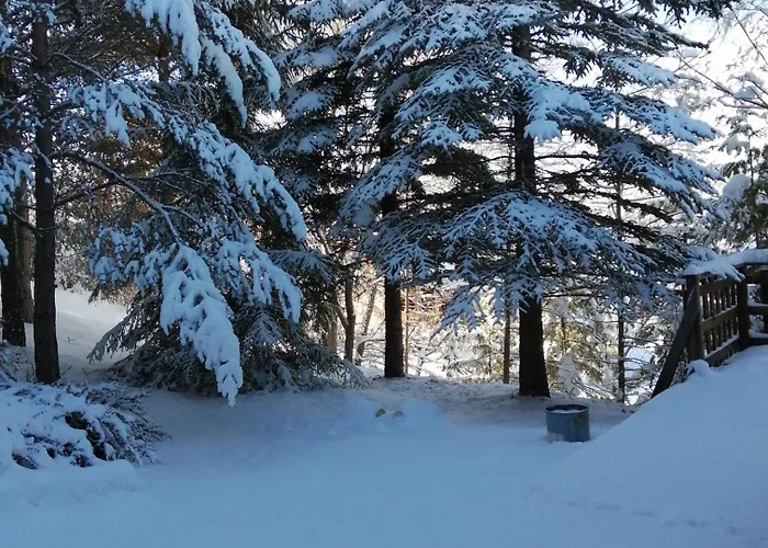 L'argousier 6 à 8 Personnes Barcelonnette Chalet *
